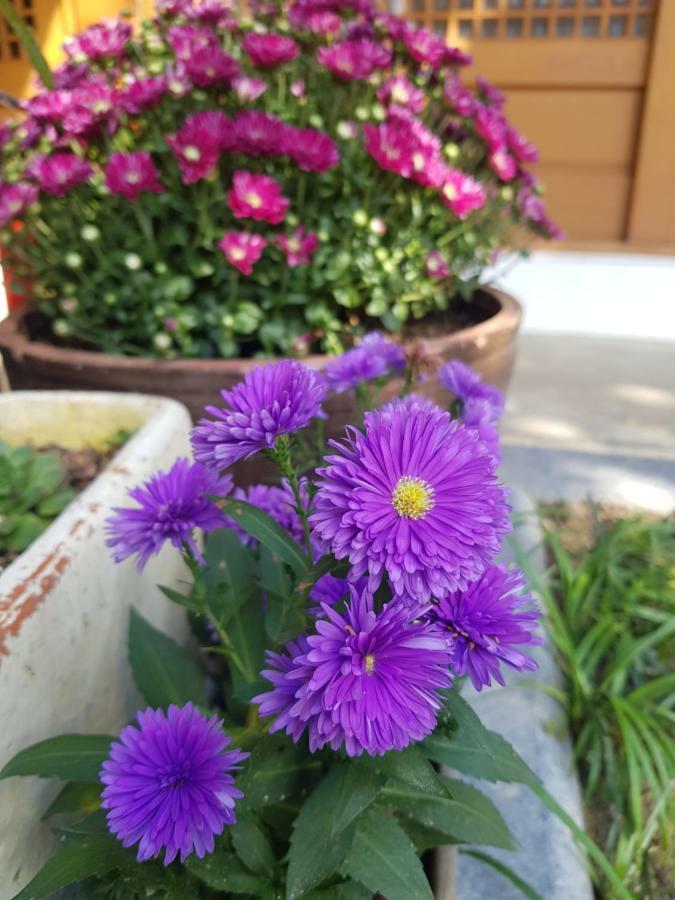 ג'אונג'ו Hanok Story Guesthouse מראה חיצוני תמונה